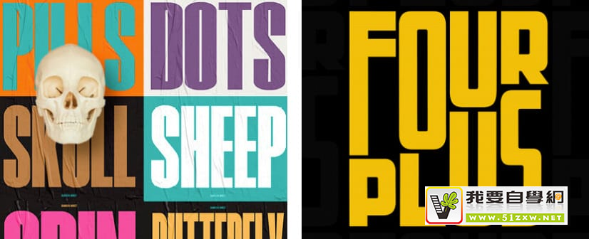 �������Ű���Ӹ��д���� 14 ��ʵ�����з���