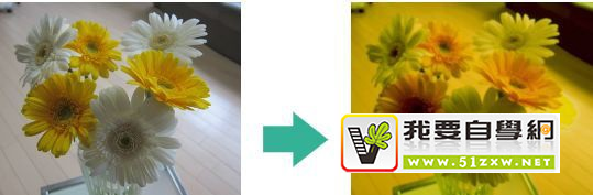 �����û��������ϻ���ƣ��ȸ㶨��3�����棡