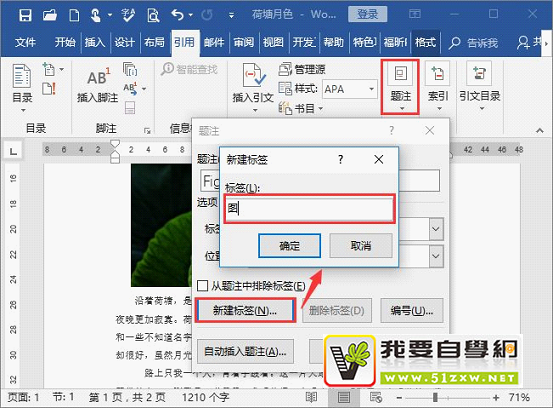 wordͼƬ������ע