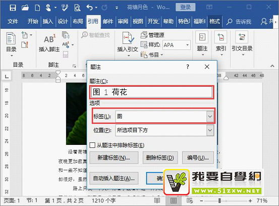 wordΪͼƬ������ע